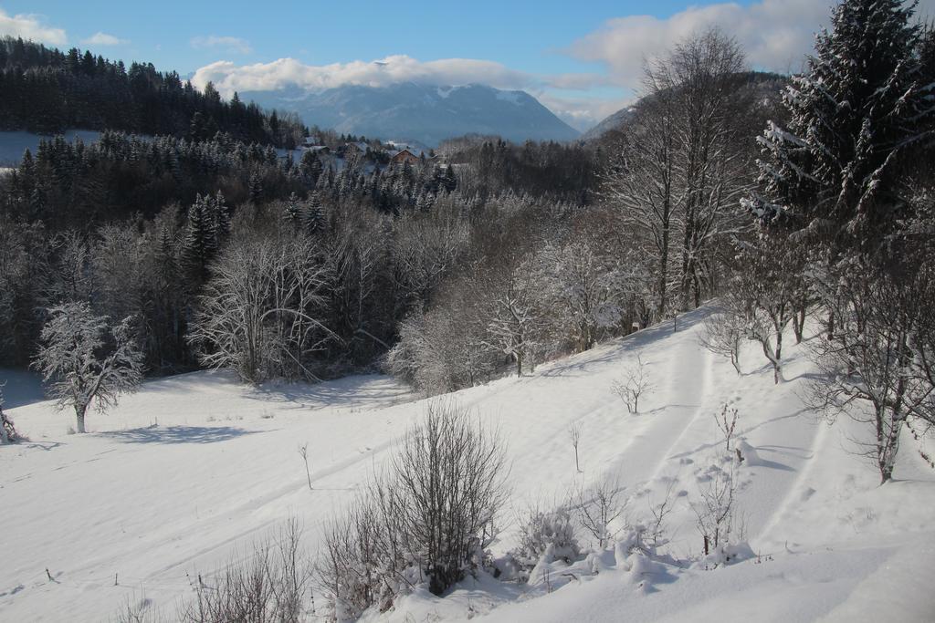 Chalet Eterlou Megevette Экстерьер фото