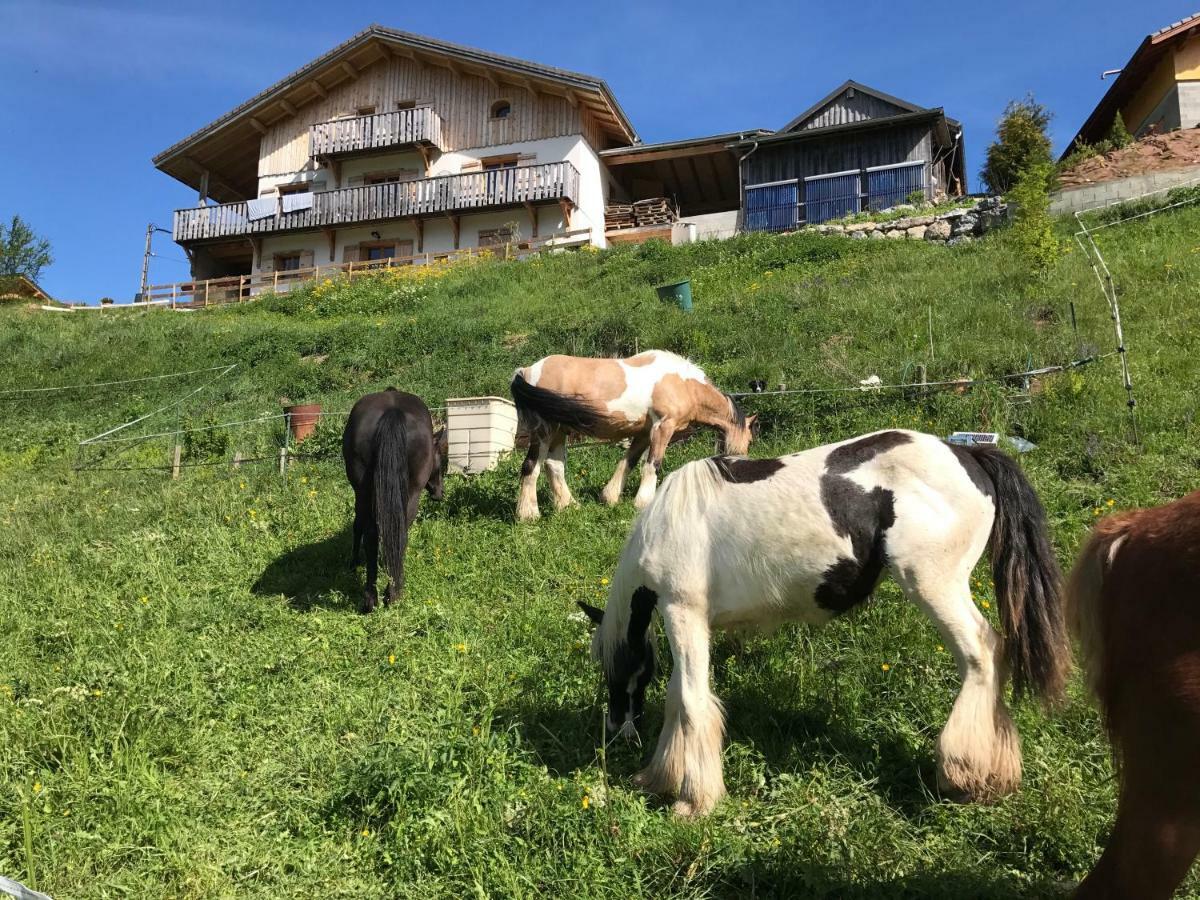 Chalet Eterlou Megevette Экстерьер фото